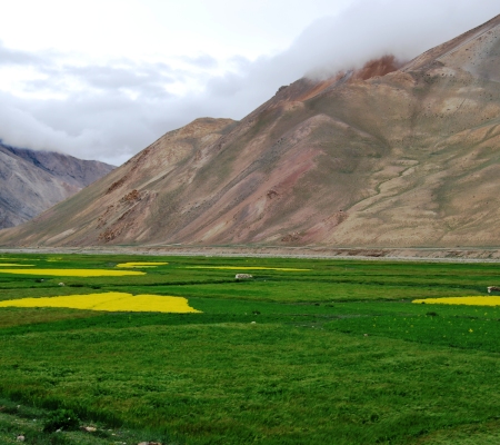 14 days kailash yatra